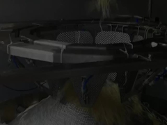 Automatische vertikale Hochgeschwindigkeits-Nudel-Wiege- und Verpackungsmaschine