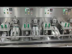 Hochgeschwindigkeits-Automatikverpackungsmaschine mit Achtköpfigen Expansionsbeutel